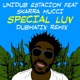 Special Luv feat Skarra Mucci Dubmatix Remix Single