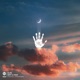Bliss Single