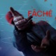 Fâché Single