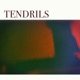Tendrils Single