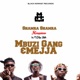 Shamra Shamra Amapiano Remix feat Mejja Single