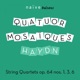 Haydn String Quartets Op 64 Nos 1 3 6 Naïve Trésors