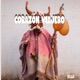 Corazón Viajero Single