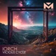 Vicious Cycle Single