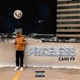 Priceless Single