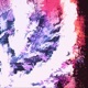 Unleashed Single