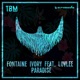 Paradise feat Lovlee Single