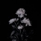 Be Ok Pt 2 Single