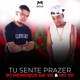 Tu Sente Prazer Single