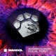 Focal Point Extended Mix Single