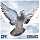 Chimes Single