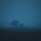 everdream Single
