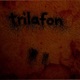 TRILAFON Single
