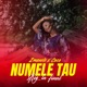 Numele tau Single