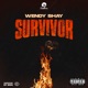 Survivor Single
