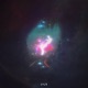 Racing 4 U Single