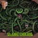 Slangenkuil feat Brother Lynx LDB Blits Chef Coq Skinny Bonez Tha Godfatha Single