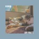 Lofi Waltz EP