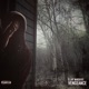 VENGEANCE Single