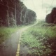 Abandoned Road Single