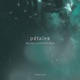 Pétales Remix The Void Wanderer Single