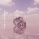 beautiful lie Single