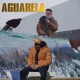 Aguarela Single feat cleyz Single