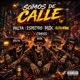 somos de calle feat mz xcross paltaspektro Single