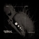 Radioactive Decay EP