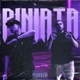Piniata Single