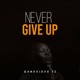 Never Give Up Single