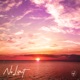 No Limit Single