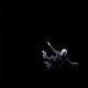 Losing Balance Single