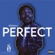 Perfect Single