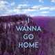 I Wanna go Home Single