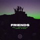 Friends Extended Mix Single
