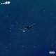 FLIGHT YAH Single