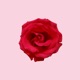 For Life Single