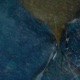 Chronos EP