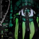 PREDATOR Single