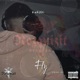 Fly feat Rezquizit Single