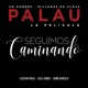 Seguimos Caminando Single