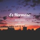 Es Hermoso feat Tomi Barani Single