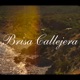 BRISA CALLEJERA Single