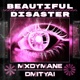 Beautiful Disaster Single