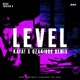 LEVEL REMIX Single