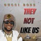 They Not Like Us Single