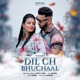 Dil Ch Bhuchaal Single feat Shweta Single