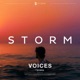 Voices Single