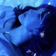 911 feat Carine HYPERTECHNO Single